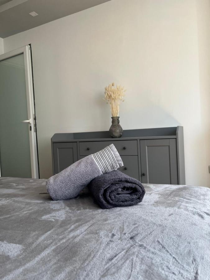 בלגרד Central Sky View Apartment מראה חיצוני תמונה