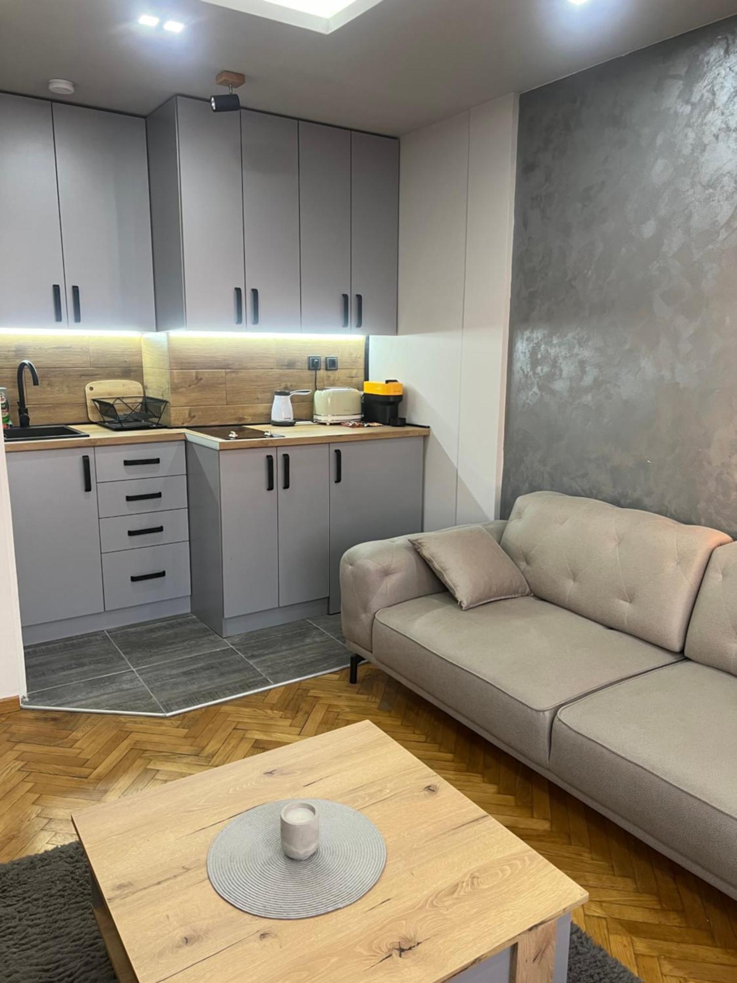 בלגרד Central Sky View Apartment מראה חיצוני תמונה